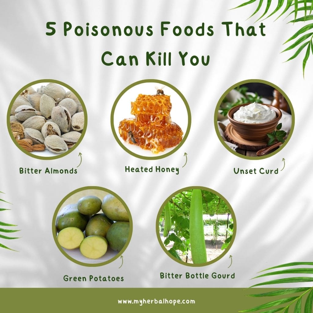 5 Toxic Foods in Your Kitchen: Poisonous Foods That Can Kill You